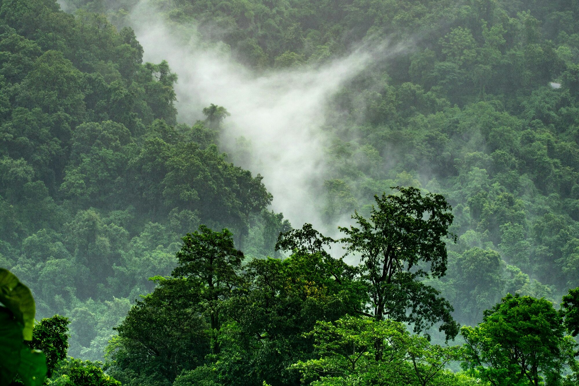 Boudhayan bardhan 60tataLkJ0U unsplash